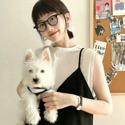 飞行之翼